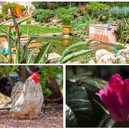 Bed & Breakfast Casa Del Sole